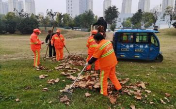 清扫的活动总结5篇