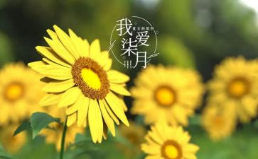 七月工作总结8篇