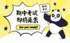 2024上学期中班个人总结优质7篇