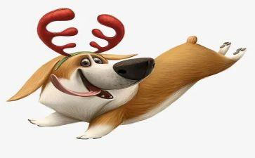 犬只专项整治工作总结优秀8篇