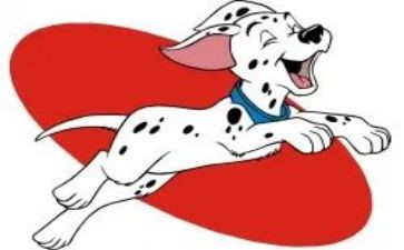 犬只管理工作总结精选7篇