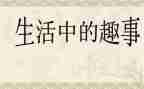 春节趣事作文600字最新8篇