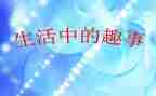 春节趣事作文600字模板5篇