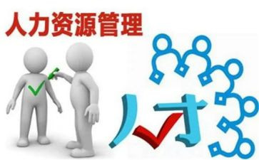 人力的年度工作计划6篇