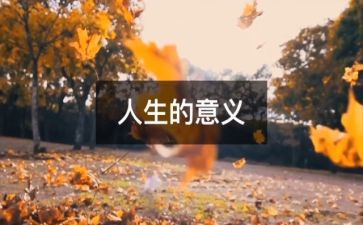 谈人生心得体会优质6篇