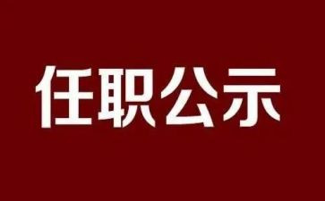 个人任职工作总结7篇