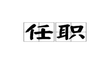 个人任职期满工作总结5篇