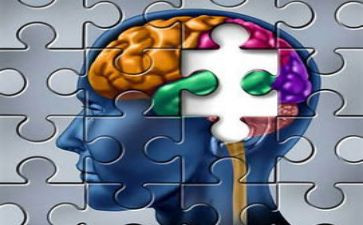认知力心得体会最新7篇