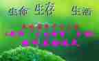 科三生物教案模板6篇