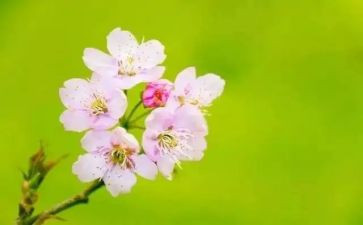 教师三月工作总结7篇