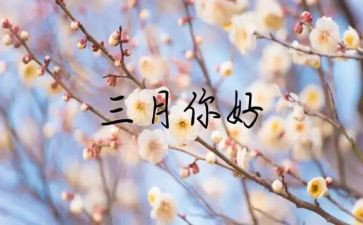 教师三月工作总结模板5篇