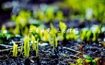 幼儿三月份工作总结精选7篇