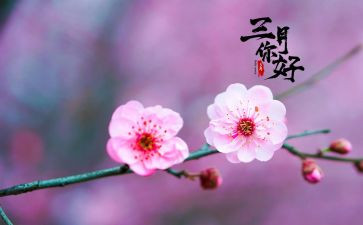 中班三月工作总结7篇