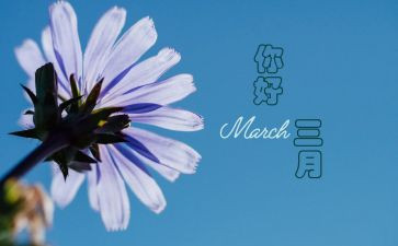 三月雷锋日的心得体会6篇