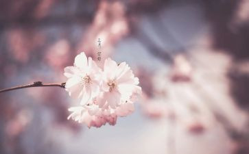 三月学生工作总结5篇