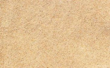 撒哈拉沙漠读后感7篇