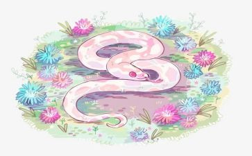 蛇教案通用6篇