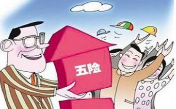 社保岗工作计划优秀8篇