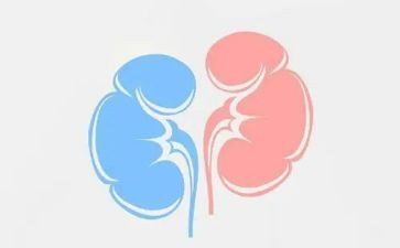 肾单位心得体会优质6篇