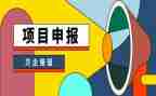 区优秀教师申报事迹材料5篇