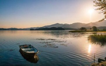 对生活部工作总结精选5篇