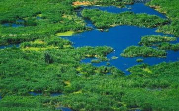 生态瓶活动总结7篇