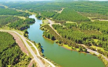 生态环保类的作文8篇