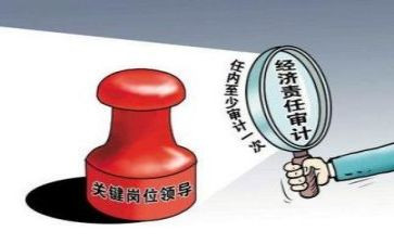 审计部个人述职报告8篇