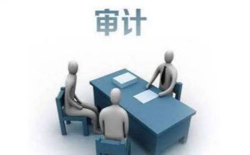 审计所工作个人总结报告5篇