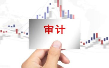 财务审计工作总结个人范文5篇