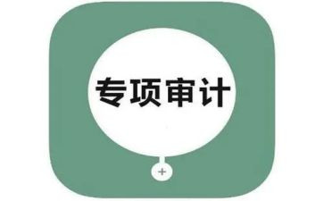 审计公司的年度工作总结7篇