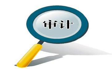 审计小助理的工作总结8篇