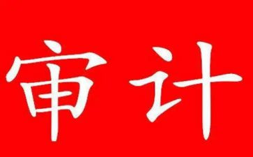 审计工作的工作总结6篇