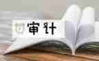 银行审计工作总结6篇