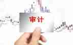 财务审计工作总结个人范文5篇