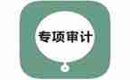 审计所工作总结优质5篇
