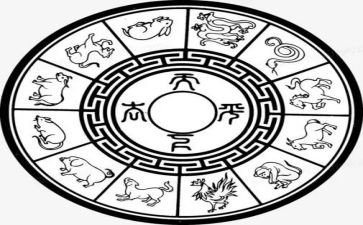 十二生肖鼠教案通用8篇