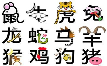 十二生肖教案6篇