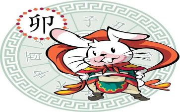 十二生肖鼠教案6篇