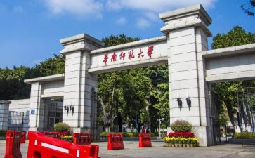 小学教育调查报告师范文6篇