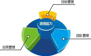 2024年城市管理局工作总结8篇