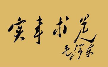 办实事工作总结7篇