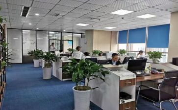 会计事务所审计工作总结6篇