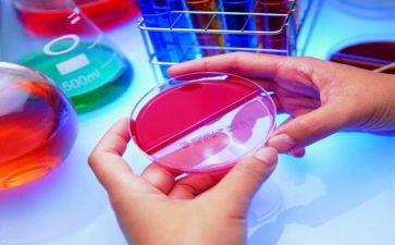 作文实验作文优质6篇