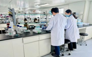 实验室教师工作总结5篇