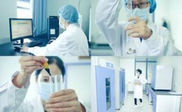 实验室的工作总结报告8篇