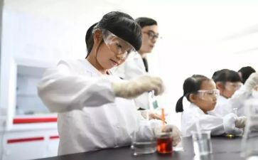 实验心得体会500字6篇