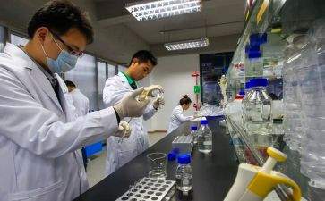 试验站工作总结8篇