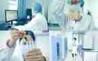 实验室的工作总结报告8篇