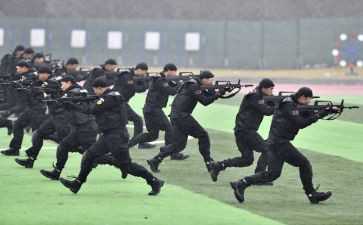 实战培训心得体会8篇